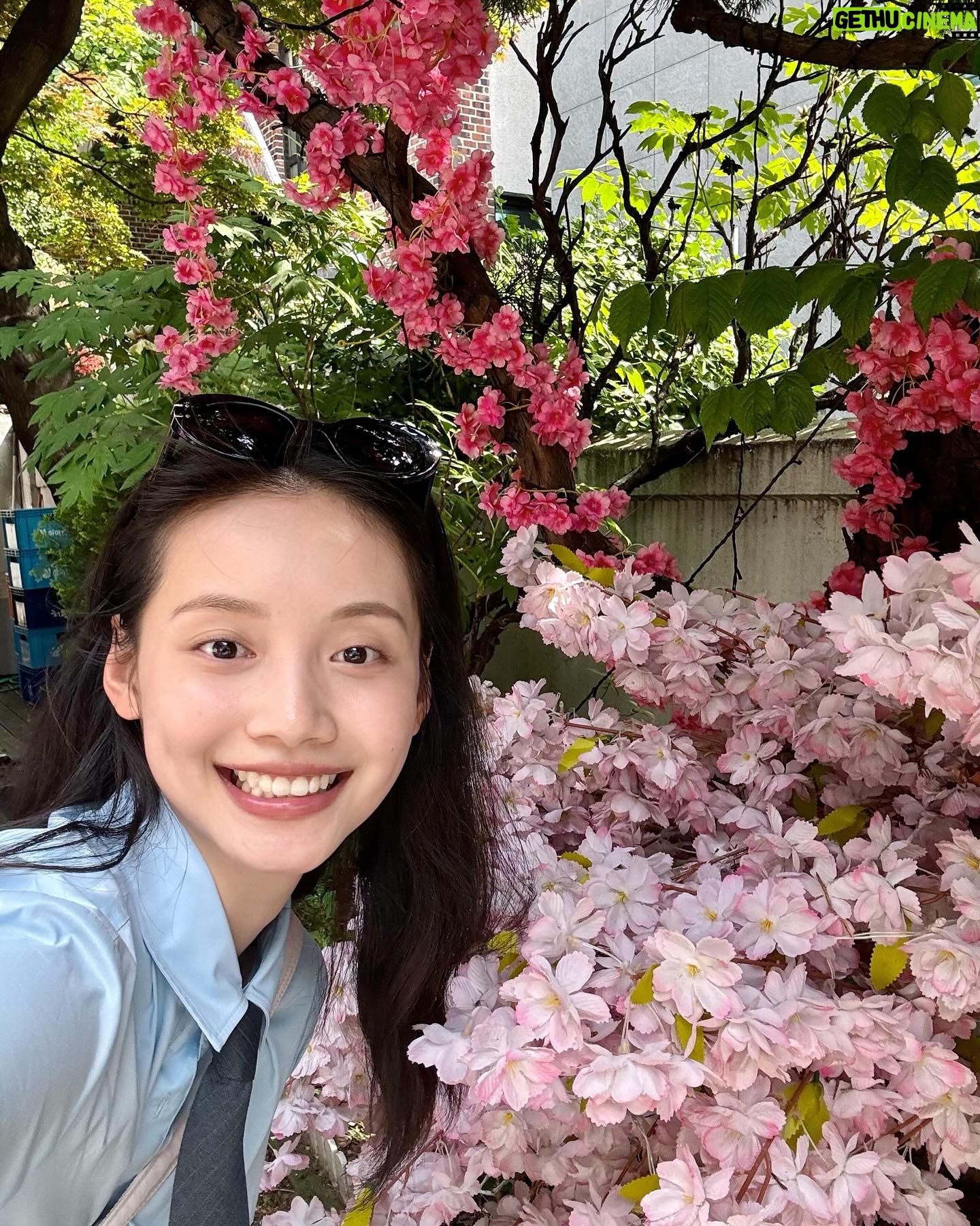 Sun Yihan - 15.8K Likes -