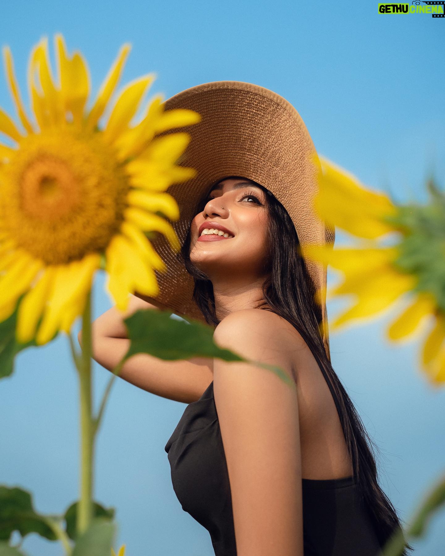 Sunerah Binte Kamal Instagram - Cause you’re a sunflower