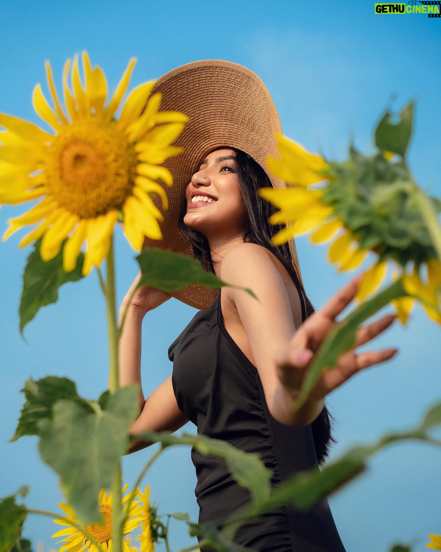 Sunerah Binte Kamal Instagram - Cause you’re a sunflower