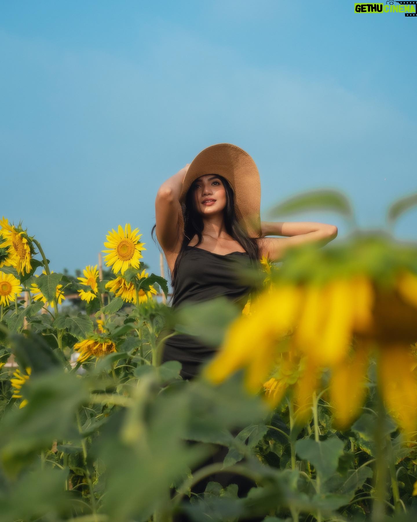 Sunerah Binte Kamal Instagram - Cause you’re a sunflower