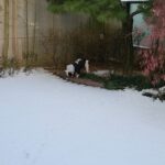Sung Yu-ri Instagram - ☃️🐷🐵🐰