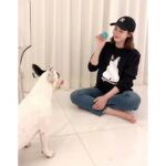 Sung Yu-ri Instagram - 🤍 유기동물 산타 프로젝트 🤍 ⠀ 제가 울 집 막둥이 뿌잉이를 직접 그려서 맨투맨&스티커를 만들었습니다. ⠀ 올 겨울 소외된 유기견들에게 산타가 되어주실거죵? 🎅 ⠀ "사람들에게서 받지 못한 헌신적인 사랑과 위로를 나에게 안겨준 소중한 동생 잉잉이와 자식 같은 존재인 밍밍, 뚜뚜, 뿌잉이에게 받은 사랑을 다른 강아지와 동물들에게 보답해 주고 싶은 마음에 함께하게 되었습니다” ⠀ * 크리스마스(12/25)까지 판매된 수익은 전액 애기들에게 기부될 예정이에요~😁 ⠀ ⠀ #유기견 #기부 #기부프로젝트 #유기동물_산타_프로젝트 #수익금_전액기부 #치료비 #사료비 #뿌잉이 #직접_그린_뿌잉이 #막내공주뿌잉 #뿌잉맨투맨 #뿌잉스티커 #뿌잉캐릭터 ⠀ 네이버 스토어 👉 https://smartstore.naver.com/jujutravel (제 인스타 프로필 하단에 사이트 주소 누르시면 바로 보실 수 있어요~😁) ⠀