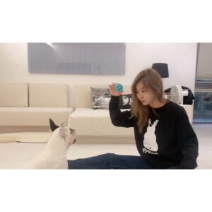 Sung Yu-ri Instagram - 🤍 유기동물 산타 프로젝트 🤍
⠀
제가 울 집 막둥이 뿌잉이를 직접 그려서 맨투맨&스티커를 만들었습니다.
⠀
올 겨울 소외된 유기견들에게 산타가 되어주실거죵? 🎅
⠀
"사람들에게서 받지 못한 헌신적인 사랑과 위로를 나에게 안겨준 소중한 동생 잉잉이와 자식 같은 존재인 밍밍, 뚜뚜, 뿌잉이에게 받은 사랑을 다른 강아지와 동물들에게 보답해 주고 싶은 마음에 함께하게 되었습니다”
⠀
* 크리스마스(12/25)까지 판매된 수익은 전액 애기들에게 기부될 예정이에요~😁
⠀
⠀
#유기견 #기부 #기부프로젝트 #유기동물_산타_프로젝트
#수익금_전액기부 #치료비 #사료비
#뿌잉이 #직접_그린_뿌잉이 #막내공주뿌잉 #뿌잉맨투맨 #뿌잉스티커 #뿌잉캐릭터
⠀
네이버 스토어 👉 https://smartstore.naver.com/jujutravel
(제 인스타 프로필 하단에 사이트 주소 누르시면 바로 보실 수 있어요~😁)
⠀