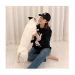 Sung Yu-ri Instagram - 🤍 유기동물 산타 프로젝트 🤍 ⠀ 제가 울 집 막둥이 뿌잉이를 직접 그려서 맨투맨&스티커를 만들었습니다. ⠀ 올 겨울 소외된 유기견들에게 산타가 되어주실거죵? 🎅 ⠀ "사람들에게서 받지 못한 헌신적인 사랑과 위로를 나에게 안겨준 소중한 동생 잉잉이와 자식 같은 존재인 밍밍, 뚜뚜, 뿌잉이에게 받은 사랑을 다른 강아지와 동물들에게 보답해 주고 싶은 마음에 함께하게 되었습니다” ⠀ * 크리스마스(12/25)까지 판매된 수익은 전액 애기들에게 기부될 예정이에요~😁 ⠀ ⠀ #유기견 #기부 #기부프로젝트 #유기동물_산타_프로젝트 #수익금_전액기부 #치료비 #사료비 #뿌잉이 #직접_그린_뿌잉이 #막내공주뿌잉 #뿌잉맨투맨 #뿌잉스티커 #뿌잉캐릭터 ⠀ 네이버 스토어 👉 https://smartstore.naver.com/jujutravel (제 인스타 프로필 하단에 사이트 주소 누르시면 바로 보실 수 있어요~😁) ⠀