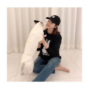 Sung Yu-ri Instagram - 🤍 유기동물 산타 프로젝트 🤍
⠀
제가 울 집 막둥이 뿌잉이를 직접 그려서 맨투맨&스티커를 만들었습니다.
⠀
올 겨울 소외된 유기견들에게 산타가 되어주실거죵? 🎅
⠀
"사람들에게서 받지 못한 헌신적인 사랑과 위로를 나에게 안겨준 소중한 동생 잉잉이와 자식 같은 존재인 밍밍, 뚜뚜, 뿌잉이에게 받은 사랑을 다른 강아지와 동물들에게 보답해 주고 싶은 마음에 함께하게 되었습니다”
⠀
* 크리스마스(12/25)까지 판매된 수익은 전액 애기들에게 기부될 예정이에요~😁
⠀
⠀
#유기견 #기부 #기부프로젝트 #유기동물_산타_프로젝트
#수익금_전액기부 #치료비 #사료비
#뿌잉이 #직접_그린_뿌잉이 #막내공주뿌잉 #뿌잉맨투맨 #뿌잉스티커 #뿌잉캐릭터
⠀
네이버 스토어 👉 https://smartstore.naver.com/jujutravel
(제 인스타 프로필 하단에 사이트 주소 누르시면 바로 보실 수 있어요~😁)
⠀