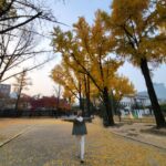 Sung Yu-ri Instagram - 멋진 전시 & 아름다운 덕수궁