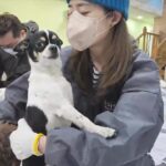 Sung Yu-ri Instagram - 아가들아 좋은 엄마 아빠 만나서 사랑 듬뿍 받고 행복해지자🤍 귀염둥이들 마음껏 안아주고 도와줄 수 있는 행복한 시간 만들어 주셔서 감사합니다🐶 @sungyuri_inyeon @kdsrescue @harimpetfood