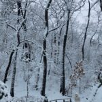 Sung Yu-ri Instagram - ⛄️