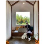 Sung Yu-ri Instagram - 달이와 데이트🐕