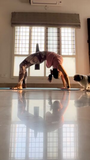Sunitha Varma Instagram - Channeling Monday motivation through the arc of Chakrasana! Let’s bend, stretch, and conquer the week with positivity. 🌈💖 #MondayMagic #wheelpose #mondaymotivation #chakrasana #chakrasanaflow