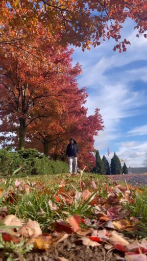 Sunitha Varma Instagram - Trying to soak in the last bit of autumn 🍂 
.
.
.
#autumn #autumnvibes #reels #reelsinstagram #goodvibes #blessedandgrateful