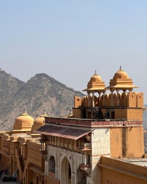 Sunitha Varma Instagram - The Pink City ..
.
.
.
#jalmahal #sheeshmahal #amberfort #citypalacejaipur #jantarmantar #pinkcity #jaipur