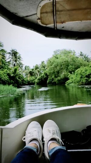 Sunitha Varma Instagram - Let your heart be your compass. 
.
.
.
#nature #naturelover #backwaters #birds #bliss #kerala #poovarisland #reels #reelsinstagram #boatride #poovarboating
