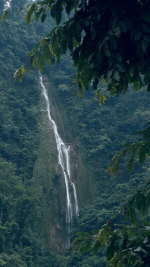 Sunitha Varma Instagram - Exploring, Reflecting, and Getting Lost in Nature’s Grace .. 🌿🍃 
.
.
.
#lostinnature #nepal #chitwan #waterfalls #natureblessings