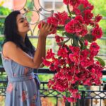 Sunitha Srinivasan Instagram – 🩵💙🩵💙