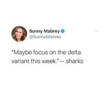 Sunny Mabrey