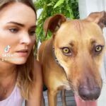Sunny Mabrey