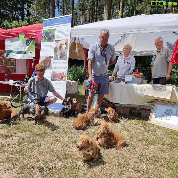 Suranne Jones Instagram - π Dachshund Rescue Highlights π π Scenic Scotland to sunny Sandringham, we're on the move! Last weekend, we attended a Dachshund Club event, spreading awareness and promoting our charity. πΎ Met some amazing adopted dachshunds and their owners, including Miri, a mini smooth black and tan. Miri overcame serious weight problems and is now healthy enough to join the Dachshund Dash race! Huge thanks to her dedicated owner. π€ We need your help! Visit our website and contact your local coordinator to volunteer. Many dachshunds are in need. π₯ Our rescue stand showcased our long-term foster dachshunds, requiring medical support. We cover their vet bills and seek sponsorships to continue their care. Reach out to our coordinators for more info. π Special thanks to the Dachshund Club, raffle organizers, and generous donors who provided gifts for fundraising. Your support means the world to us!π π Visit our website for regional rescue contacts link in bio #dachshundpuppy #dachshundlove #dachshundlife #dachshundappreciation