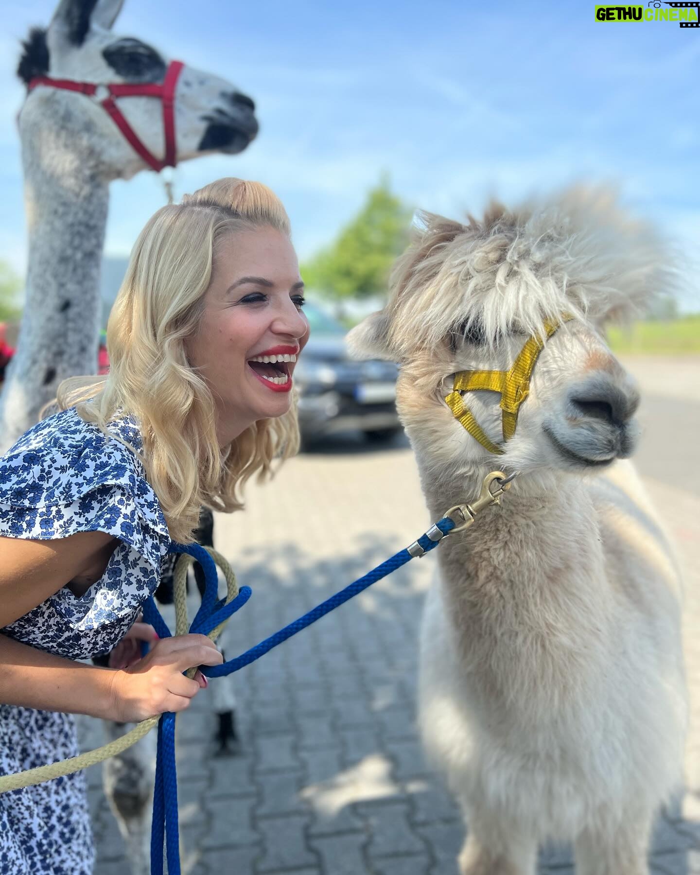 Susan Sideropoulos Instagram - Heute wird es wieder wild - bei „Dein Star - Dein Date“ um 16.30 Uhr in @sat.1 oder jetzt schon bei @joyn.de Freut euch auf lustige Dates, diese Woche besteht unser Konkurrenz Team aus @diesilasahin & @guelcankamps 💚 Freu mich auf dein Feedback 🥰 #NewShow #dating #TeamHerz @marijkeamado @janinekunzeofficial #ThomasHermanns #MakeUp @herr.pascal #unbezahltewerbung #wegenmarkierung