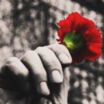 Susana Dias Ramos Instagram - Há 50 anos, Ele lutou pela minha liberdade e por isso, nunca ninguém vai silenciar a minha voz! Liberdade ✊🏼 A liberdade é um equilíbrio fundamental! É responsabilidade, é respeito, é consciência. É brisa e não vento, é chuva e não tormenta, é onda e não tsunami! A liberdade não magoa, não invade, não incapacita! A liberdade é amor… e não julgamento. Há 50 anos que somos livres ♥️