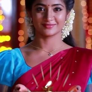 Sushma Nair Instagram - மக்கள் மனதை வென்ற இலக்கியா 💥
#Ilakkiya #SaregamaTvShowsTamil