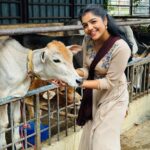 Suveta Shrimpton Instagram - Azhagu kutty chellam 🐮 #beingilamathi 🌙 #poovathalaiya @suntv #newpost #trend #suntvserial #instadaily #postoftheday #instadaily #instamood #suveta #suvetashrimpton #ilamathi