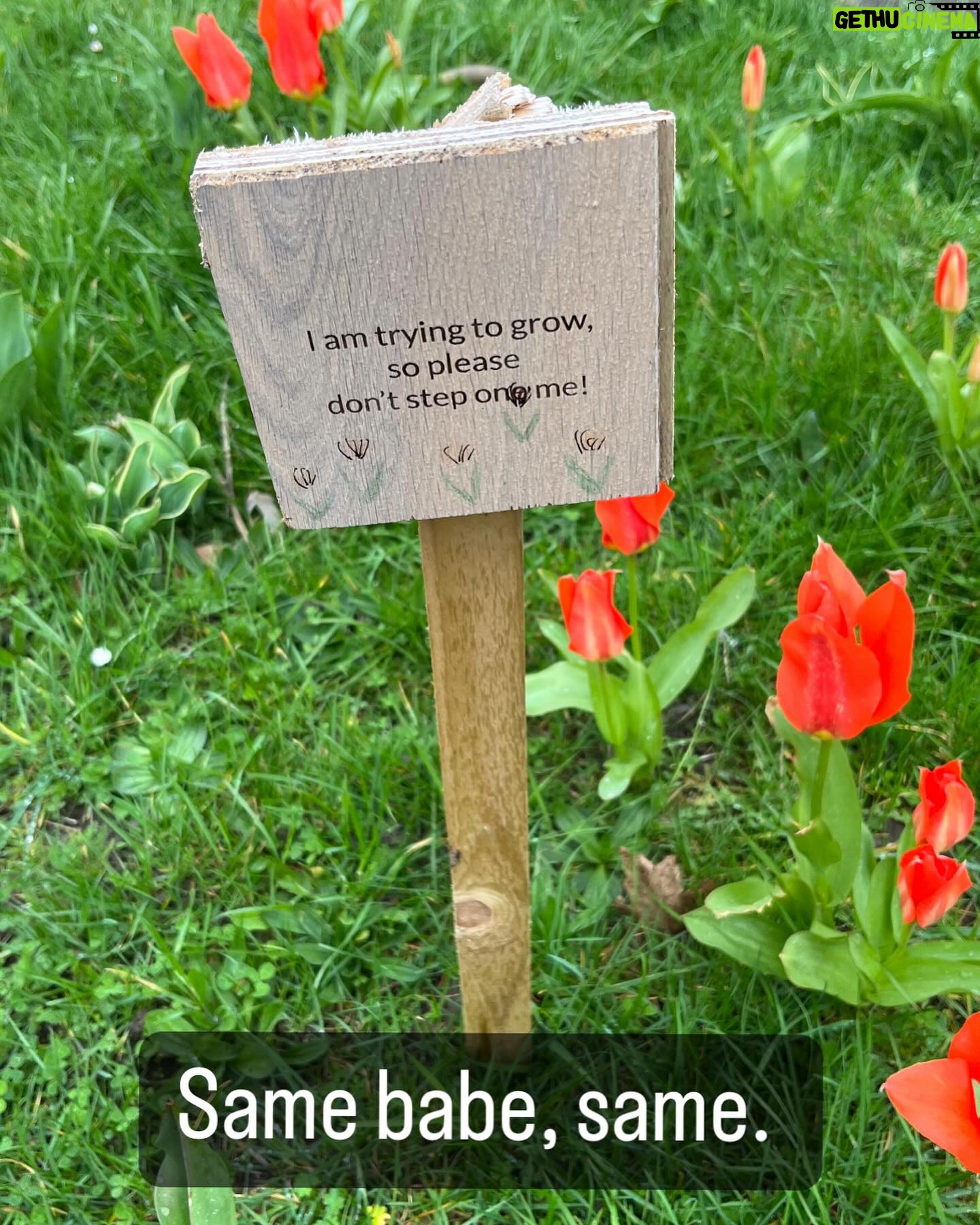 Suzi Ruffell - 3.5K Likes - Hard relate to flowers this morning.
