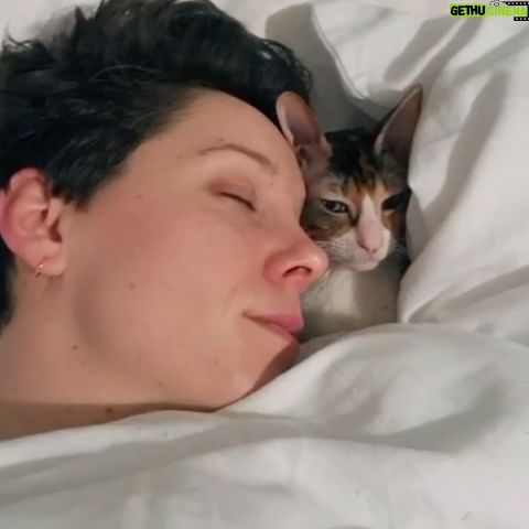 Suzi Ruffell - 3.2K Likes - My wifeās phone made this video of me and our cat and called it āBest Friendsā which feels like a dig, that my best friend would be a cat and also a compliment, that a cat would choose a human as its best friend.
#catsofinstagram