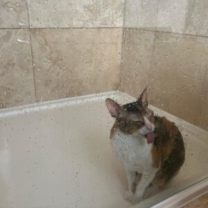 Suzi Ruffell Instagram - Not sure about the new cleaner.