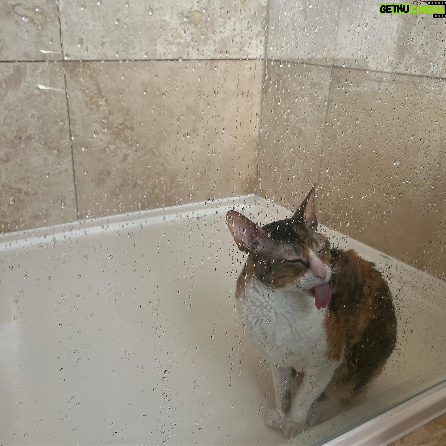 Suzi Ruffell - 1.7K Likes - Not sure about the new cleaner.