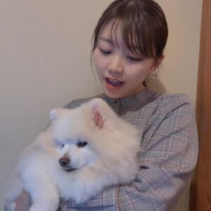 Suzuko Mimori Instagram - もふーふわー🥹❤️
ひさしぶりのプリンちゃん🐶ぜんぜん目線くれない…💦
#mimorisuzuko  #ポメラニアン #もふもふ #おばあちゃん犬