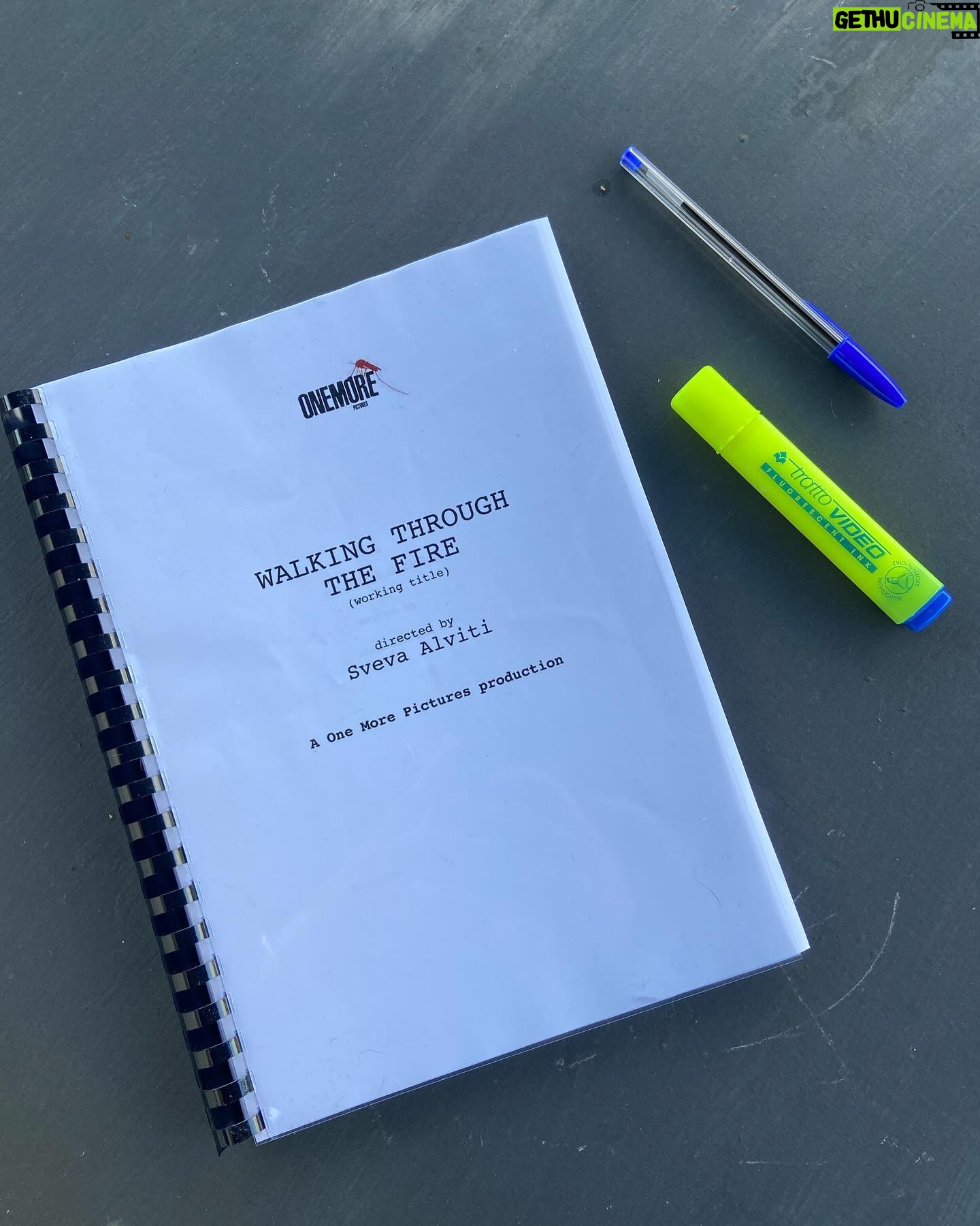 Sveva Alviti Instagram - Ready, Steady, action π¬ My first documentary as a director will be produced by @onemorehub @manucacciamani . Excited to share this news with you. Stay tuned!! #documentary #directing #movie #storyaboutwomens