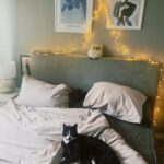 Sveva Alviti Instagram - When i prefer to see my babies then anything else. #cats #catlover #meandyou #noi #jevousaime #moetchandon
