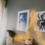 Sveva Alviti Instagram - When i prefer to see my babies then anything else. #cats #catlover #meandyou #noi #jevousaime #moetchandon