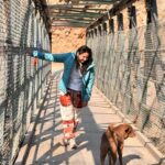Swanandi Tikekar Instagram - Travel companions made this trip even special!! ❤️ #travel #pahadi #dogs #friends #companion #love #swananditikekar