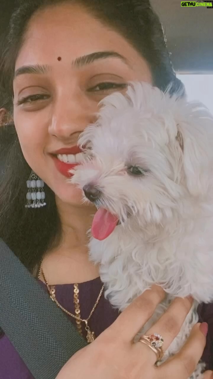 Swathi Sharma Instagram - En azhagu kutti joy🐾❤️🧿 #mydaughter #dogmother #pupoylove #maltese #doglover #myworld #cute #cutedogs