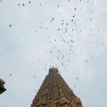 Syamantha Kiran Instagram - When the culture is rich and heart is full! தஞ்சை பெரிய கோவில் ❤️ #thanjavurtemple #bigtemple #thanjavurbigtemple #shivatemple #brihadeeswarartemple #templereels #templeoutfit