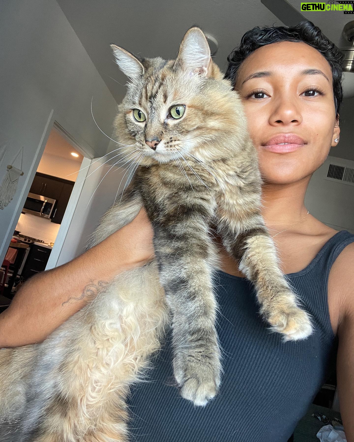 Sydney Park Instagram - 🖤 2022 🖤 what a year of growth. A lot of pain and a lot of happiness which I’m beginning to think are one and the same. I pray that this new year brings forth even more miracles for the ones I love, for myself, and for you as well. :)
