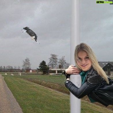 Sylvana IJsselmuiden Instagram - De tandjes, pittig windje vandaag! Slide door.