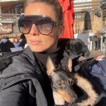 Sylvie Tellier Instagram - Tel maître, tel chien… la question est, qui porte mieux le bonnet de Noël? #englishtoyterrier #chien
