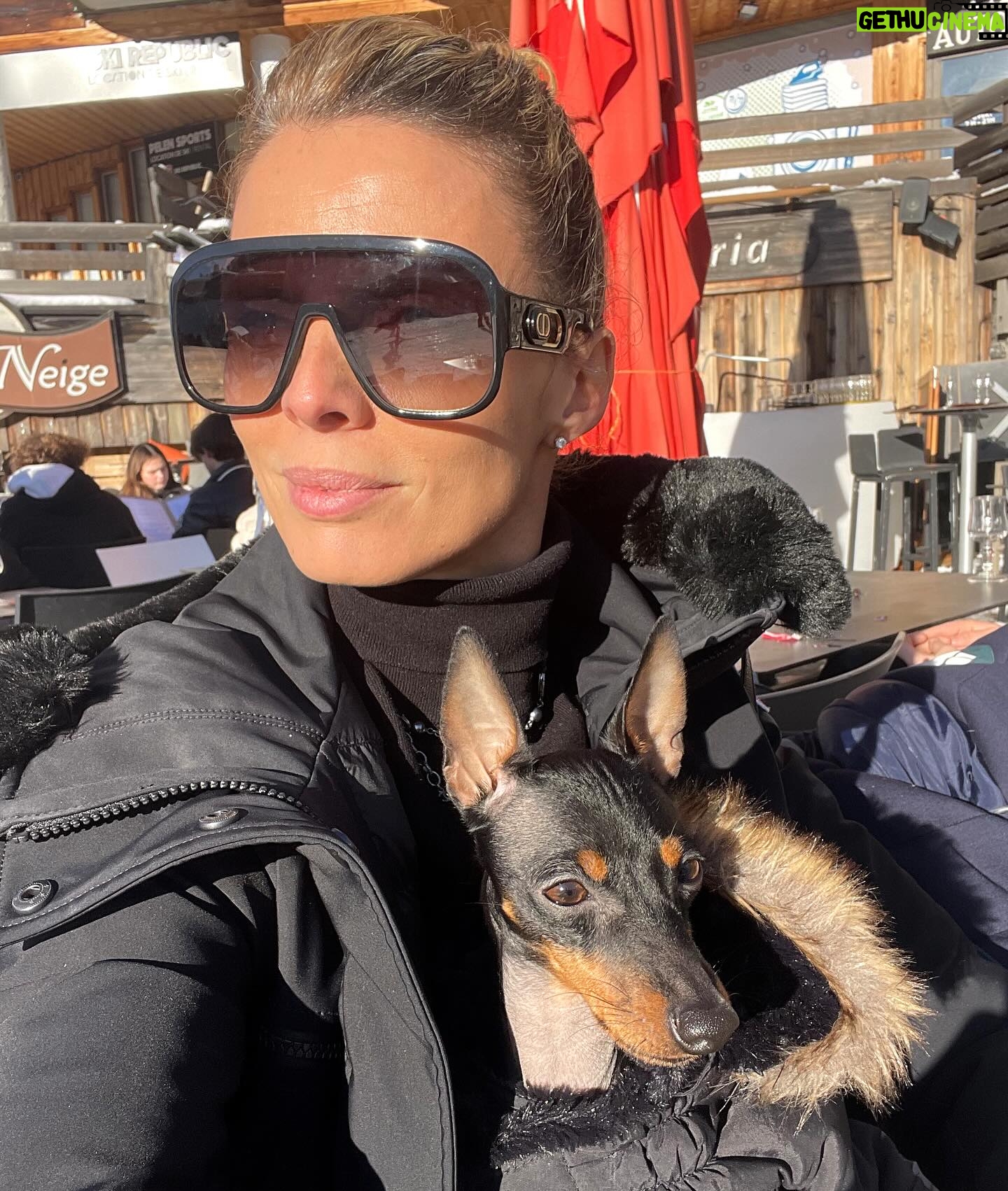 Sylvie Tellier Instagram - Tel maître, tel chien… la question est, qui porte mieux le bonnet de Noël? #englishtoyterrier #chien