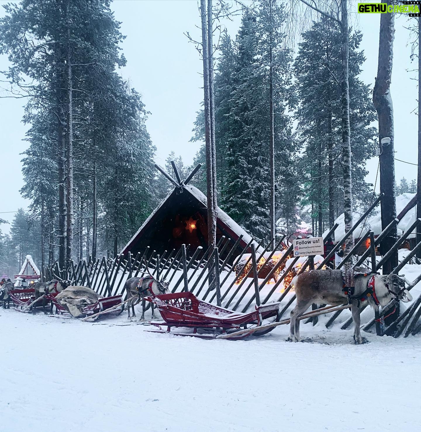 Tülin Yazkan - 3 Likes - Arctic Circle! 🦌