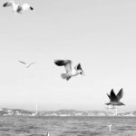 Tülin Yazkan Instagram - for a new adventure! 🕊