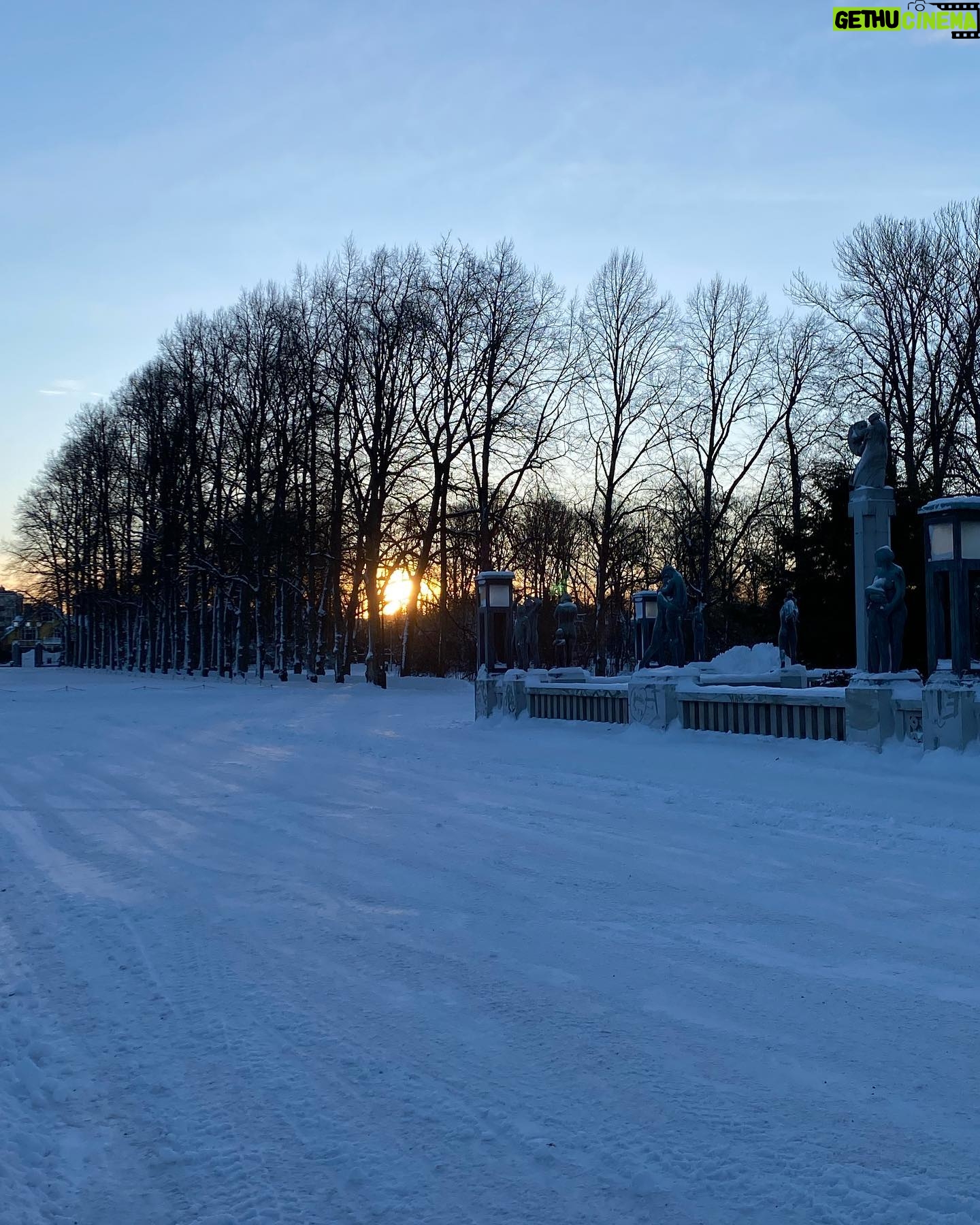Tülin Yazkan - 3 Likes - Munch, Goya, winter in Oslo, Vigeland Sculpture Park, fiskesuppe (👌🏻) Alberto and me! And yes! I love #oslo ❄️🤍