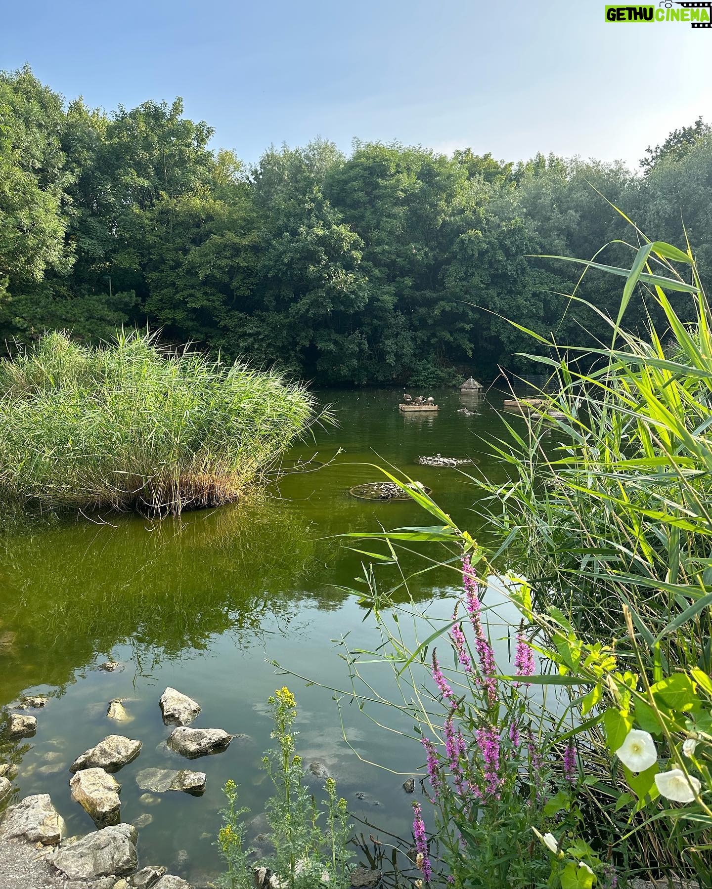 Tülin Yazkan - 1.5K Likes - summer ‘23 🌿