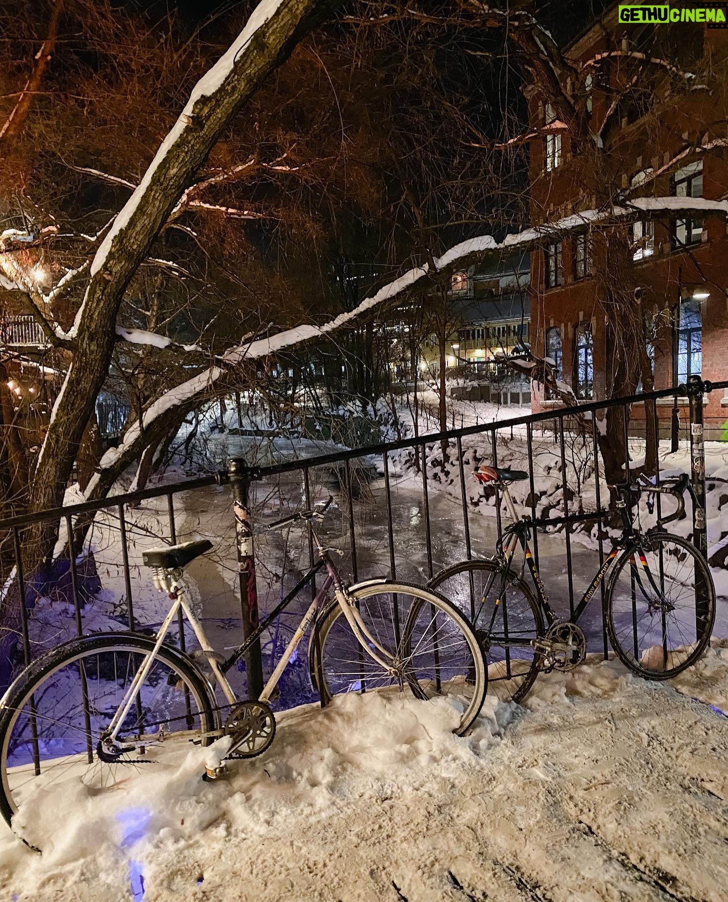 Tülin Yazkan - 3 Likes - night in Oslo🌈