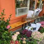 Tülin Yazkan Instagram – Fleurs, fruits frais, antiquités et bonheur! 😍🌷