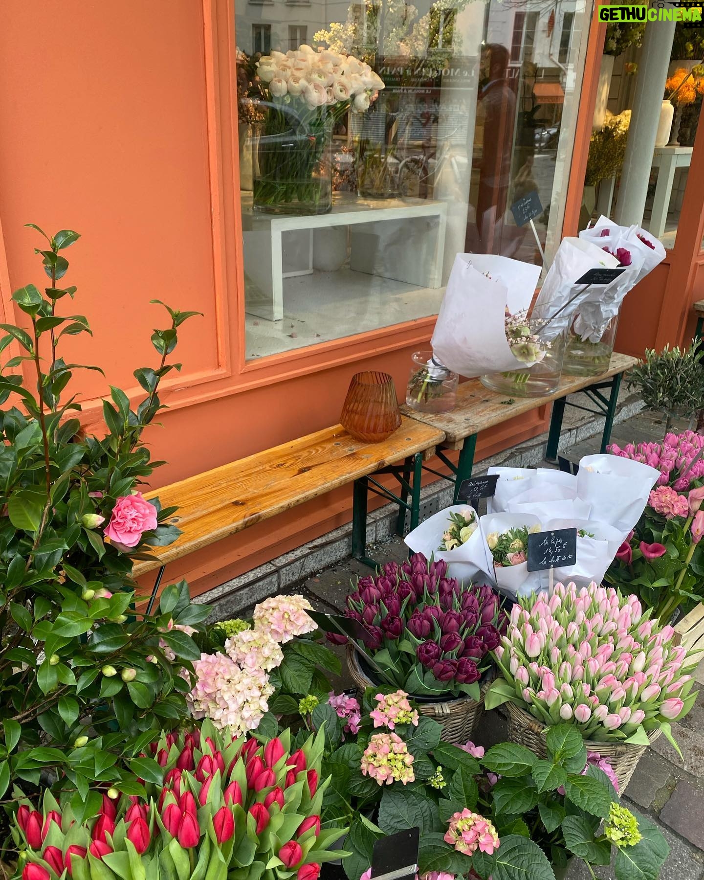Tülin Yazkan - 3 Likes - Fleurs, fruits frais, antiquités et bonheur! 😍🌷