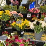 Tülin Yazkan Instagram – Fleurs, fruits frais, antiquités et bonheur! 😍🌷