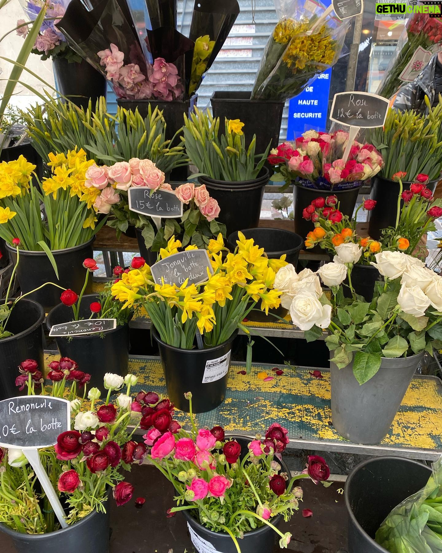 Tülin Yazkan - 3 Likes - Fleurs, fruits frais, antiquités et bonheur! 😍🌷